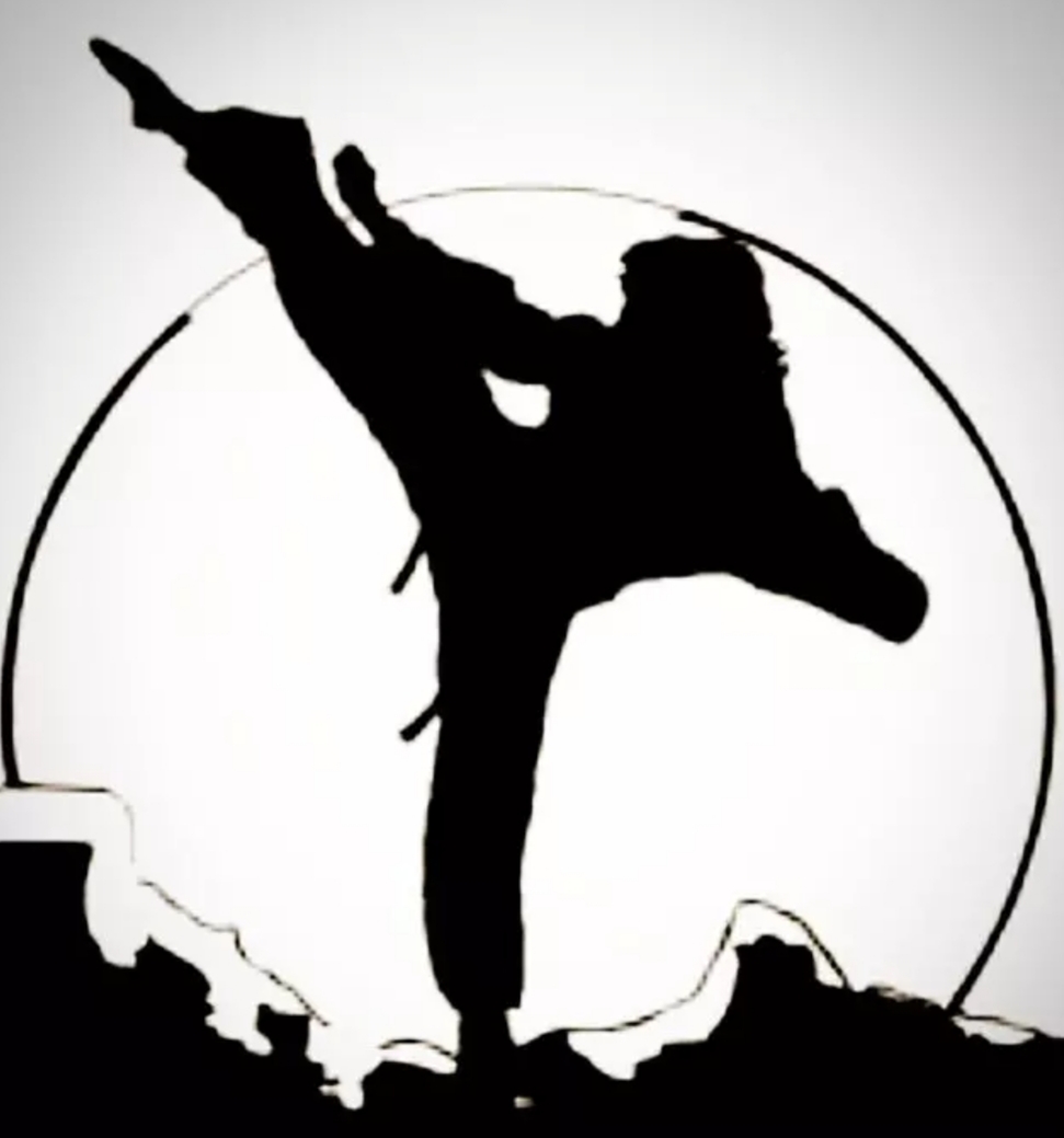 تکواندو به کره‌ای"태권도/跆拳道 "