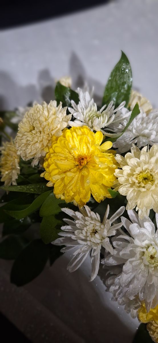 گل ماشین عروس