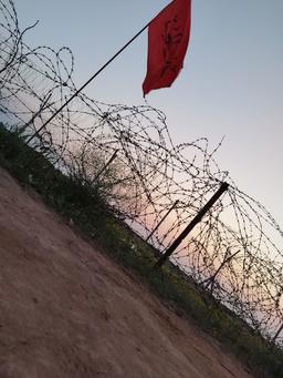 خط صاف____________