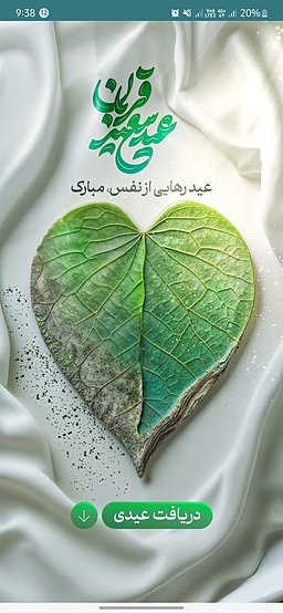 تجربه زندگی زیسته