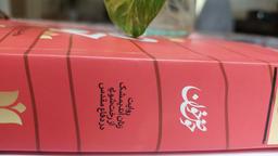 نوشته من در مورد کتاب