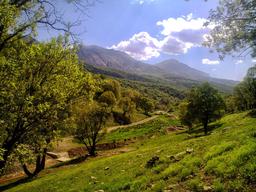 منابع طبیعی و جنگل های ایران