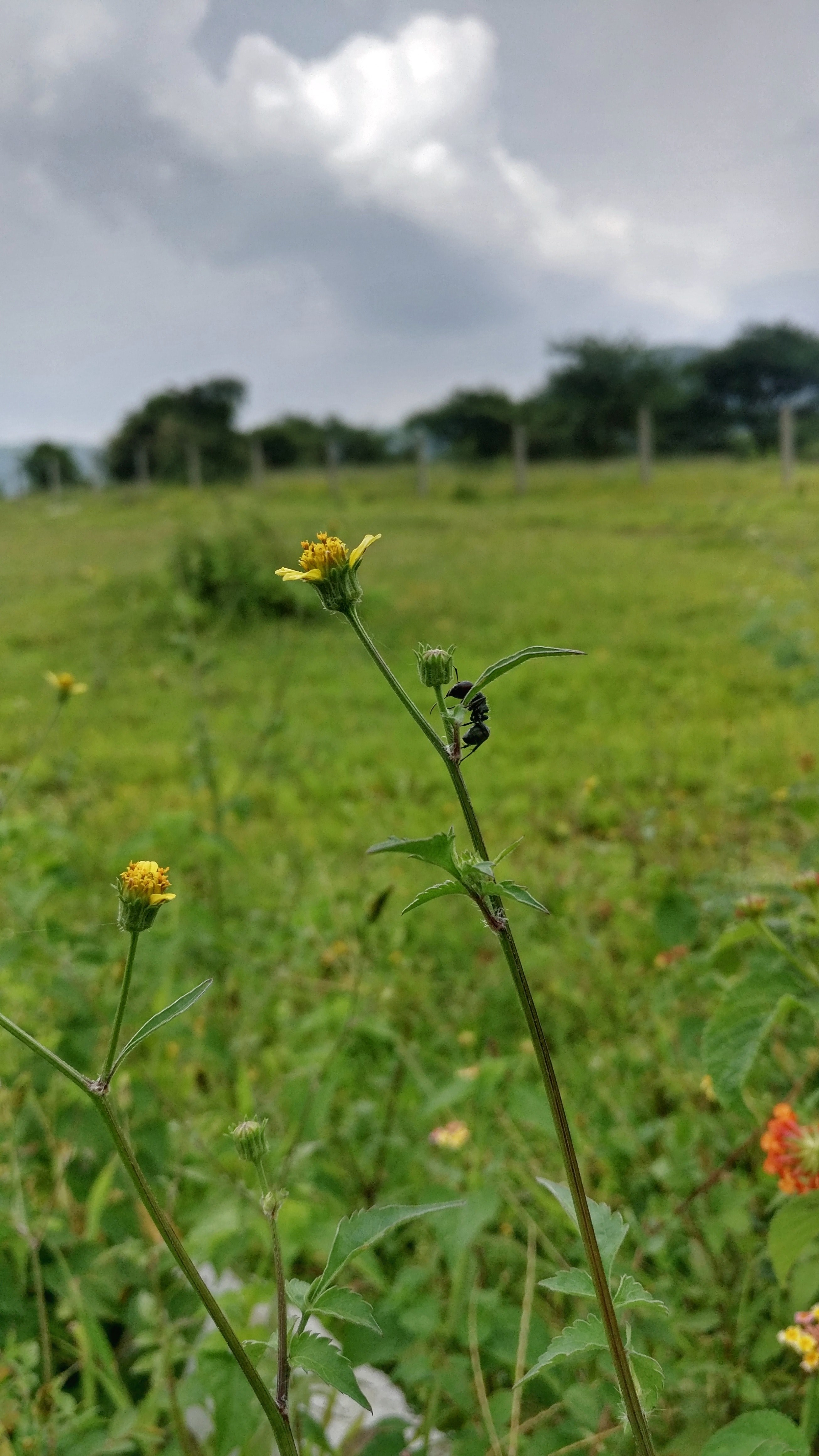 صرفا برای عکسدار بودن پست