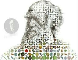 درباره تئوری داروینیسم و نحوه برخورد آن با شیوه تفکر انتزاعی