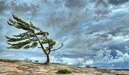 اشعار حاج حسین اعلمی (۶۳)باد سحر