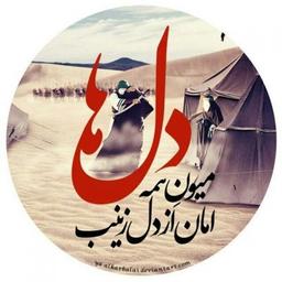 امان از دل زینب