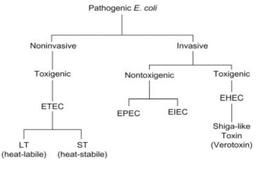 باکتری-جلسه ۱۵