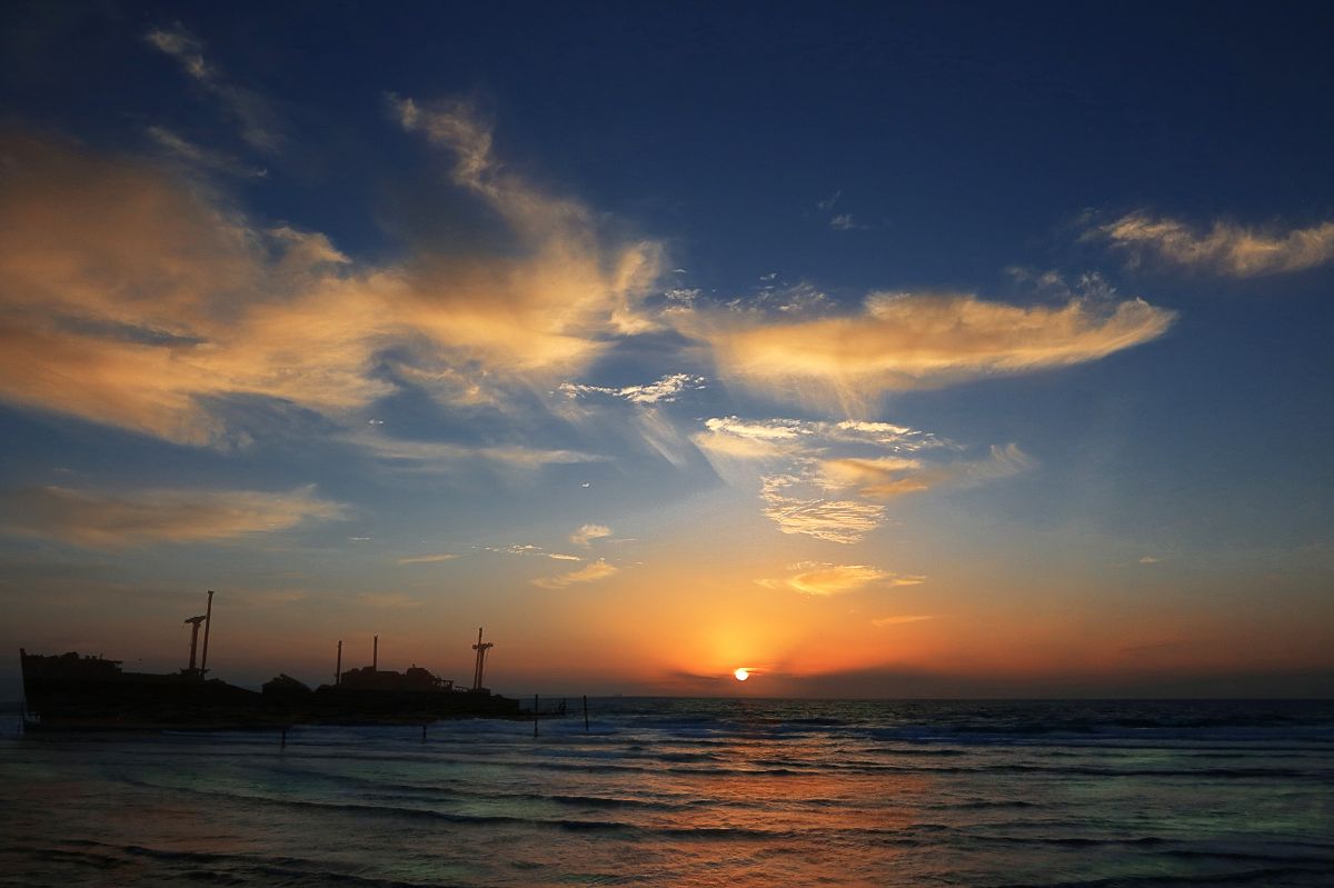 به گل نشسته