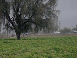 🌿کهورستان🌿