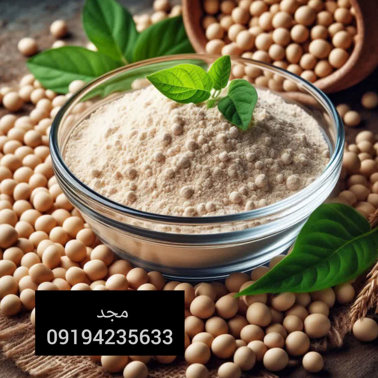 ایزوله سویا