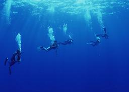 کلوپ های غواصی جزیره کیش فعال شدند