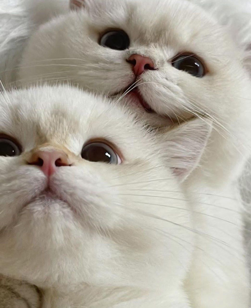 امروز ۱۱:۰۷جمعه