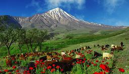 دره زمان ، رقیب سرسخت تنگه واشی