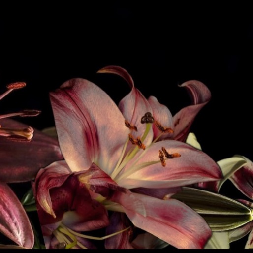 VANDA