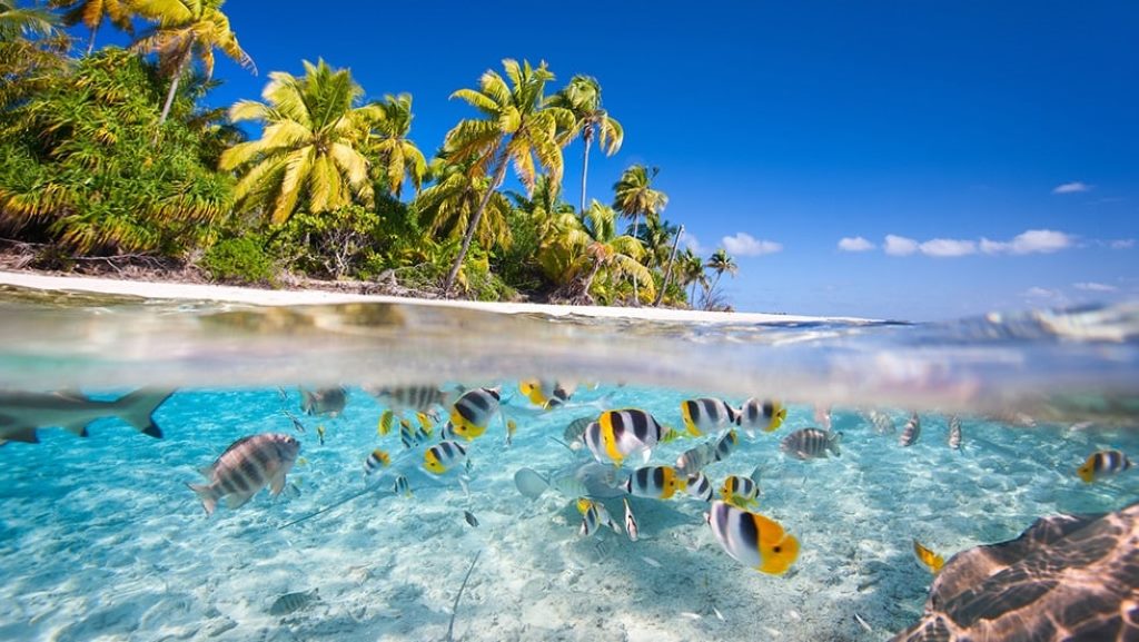 مالدیو غواصی