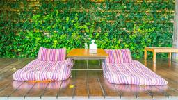 گرین وال؛ تحولی سبز در زیباسازی فضای شهری و داخلی