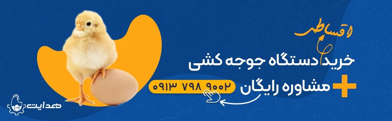 خرید اقساطی دستگاه جوجه کشی هدایت