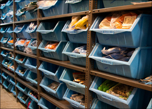 سفارشی‌سازی و ماژولار بودن طراحی پالت ابزار کشویی پلاستیکی