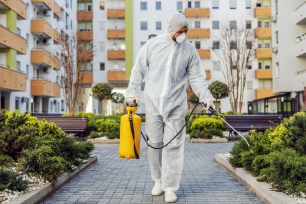 سمپاشی تهران؛ نبرد بی‌پایان با آفات شهری