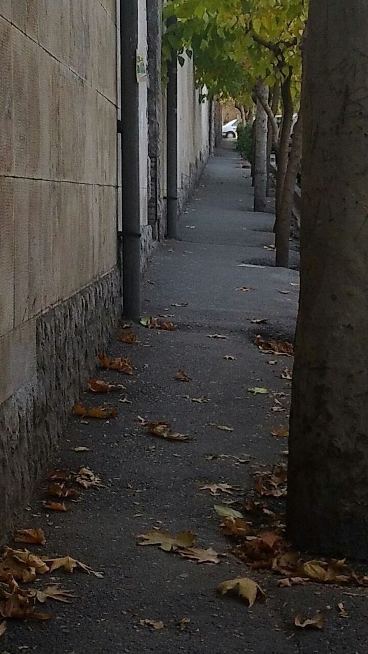 پاییز 1393 جردن نزدیک خونه سامان