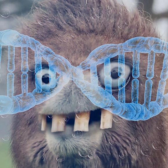 من ژنم خوبه