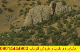نماد فیل در دفینه یابی