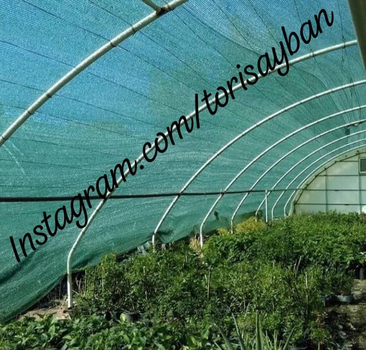 تور گلخانه