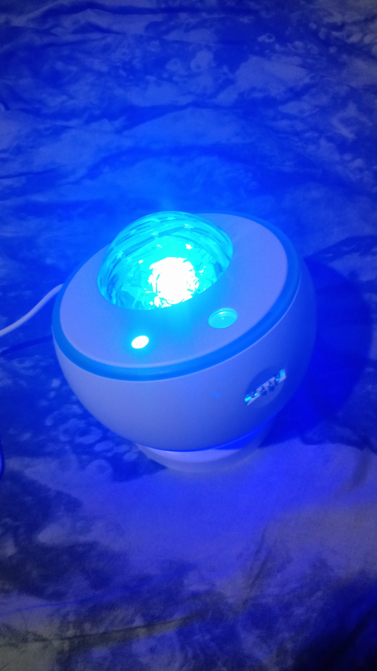 میدونم استعدادی در عکس گرفتن ندارم