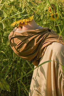 ضحی