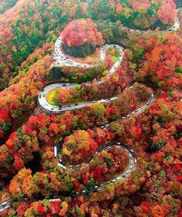 چالش یا مشکل.