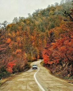 زندگی‌کن، تموم شدی