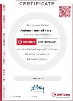 AmirMohammad Yaser Receives Official International Certification from Steinberg, Germany