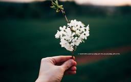 اینکه میگن زندگی...(بخش اول)