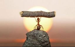 نکاتی برای با انگیزه بودن