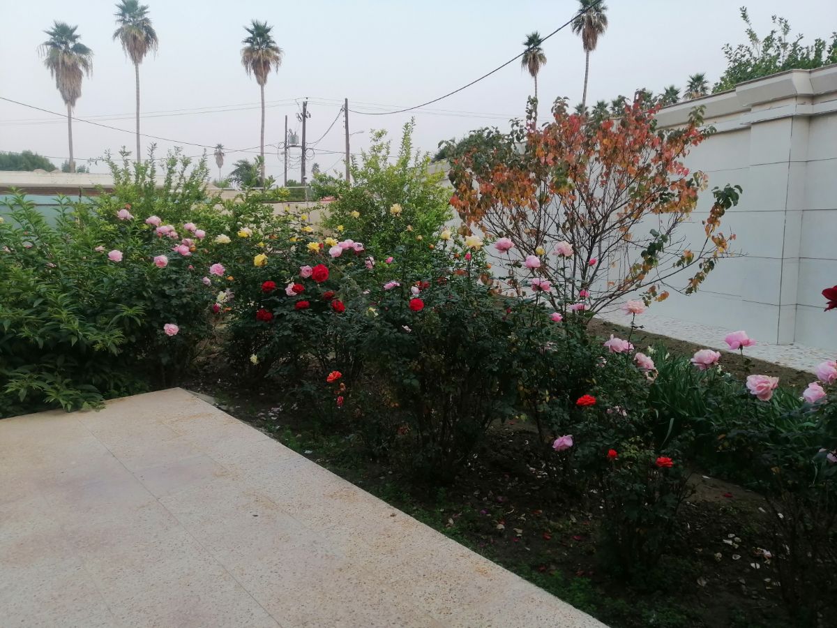 نمای جلو خانه