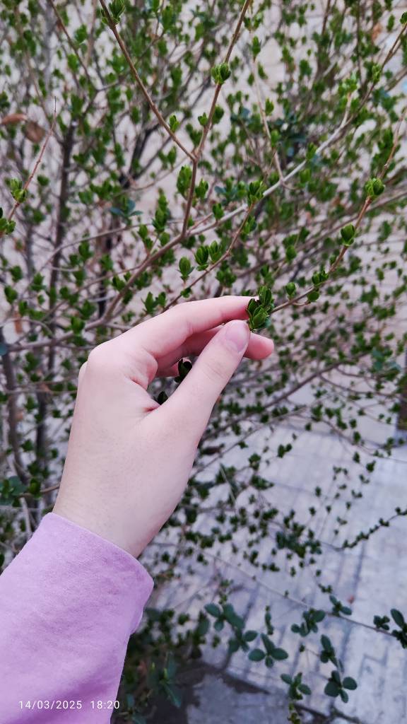 همین چندروز پیش، دم دمای افطار