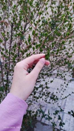 اتمام پرواز شماره 1403...