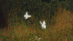 اندر افکار یک نوجوان گمشده