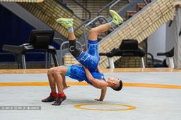 امیرعلی حقانی