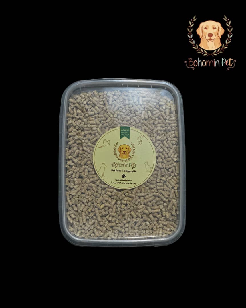 پارس ریز مینا