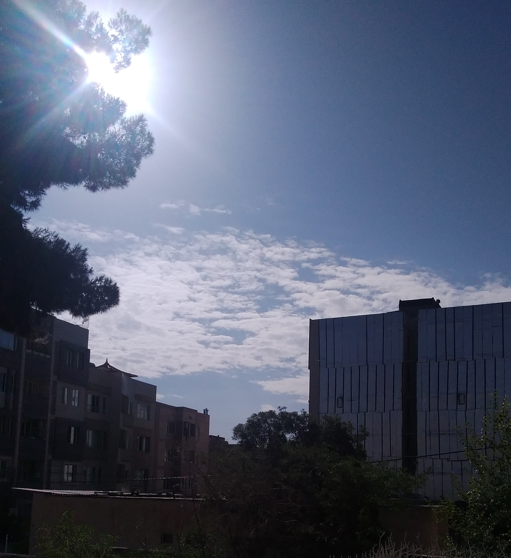 نامه ای که ای کاش خودم بخواند.