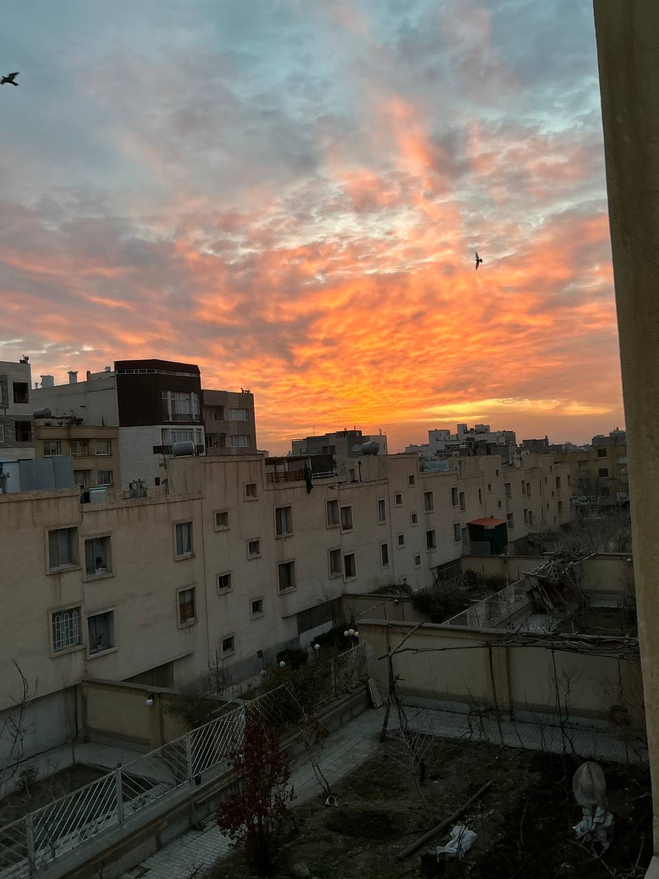 مبتلا و گرفتار و عاشق سینه چاک ابرهام..:)