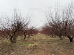 من در سفرم مقصدم ناپیدا
