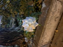 بیایید عکس بزاریم