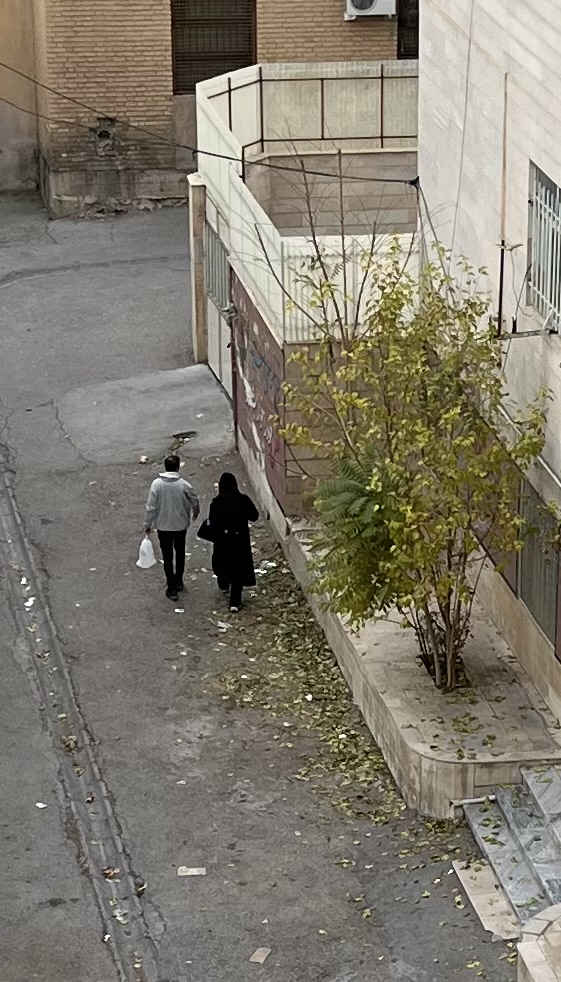 اینو از پنجره اتاقم گرفتم احتمالا دو تا عاشق که تو برگ ریزون پاییز دارن قدم میزنن