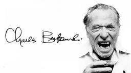 باید شانس بیاری