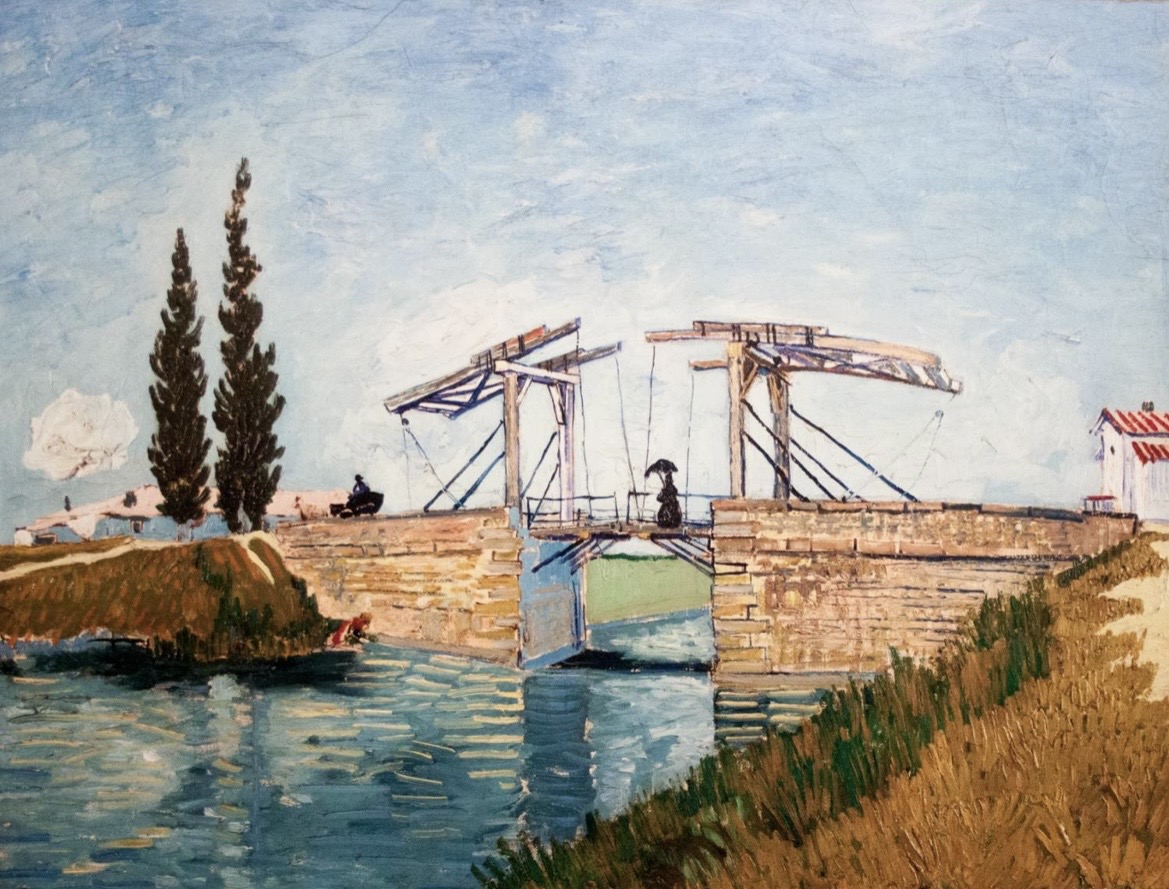 سروی لب جاده