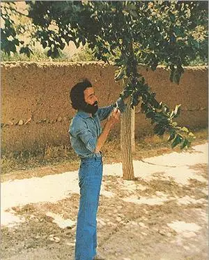 من هنوز زنده ام