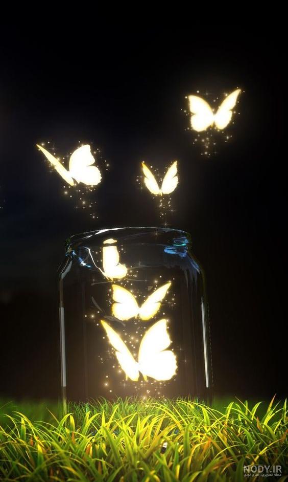 این پرنده باید بپره ☄️🌠