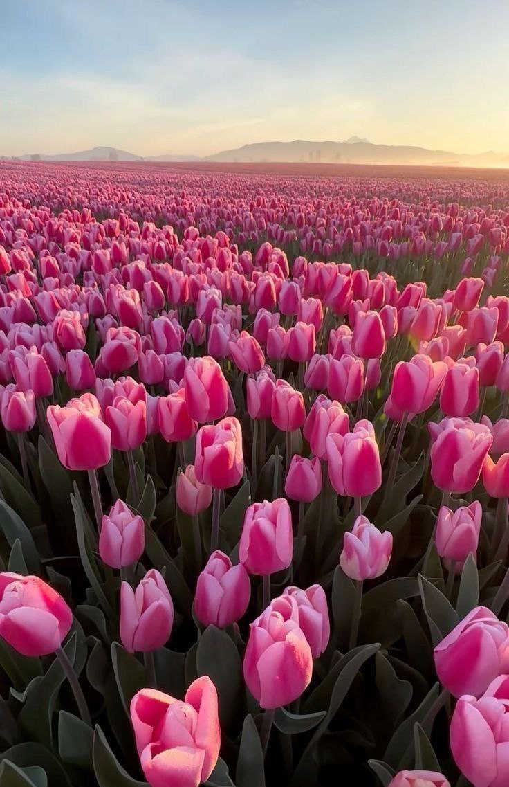 با کسی که عزت نفس پایینی داره چطوری رفتار کنیم ؟